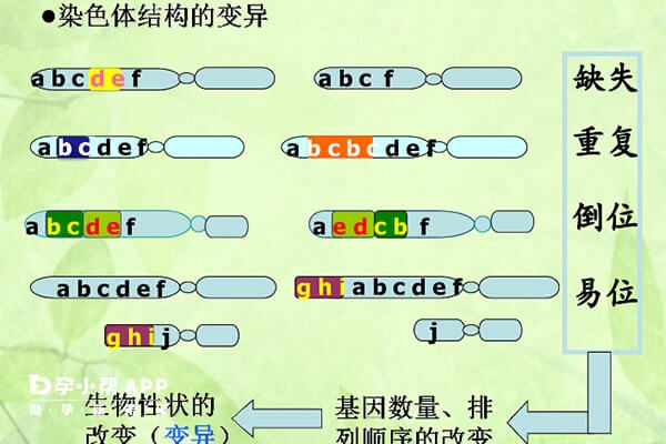 染色体结构变异有4种