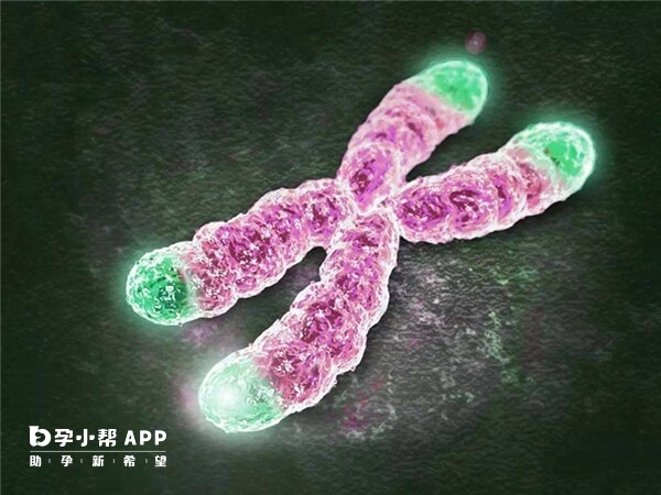 染色体多态性适合做三代试管