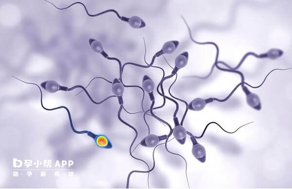 包含精子质量差怎么做试管的词条-第1张图片-鲸幼网