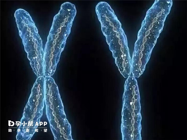 13号染色体微缺失与遗传因素有关