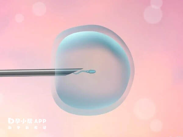 二代试管的胚胎质量不会差