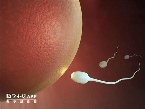 11个卵泡配了2个胚胎正常