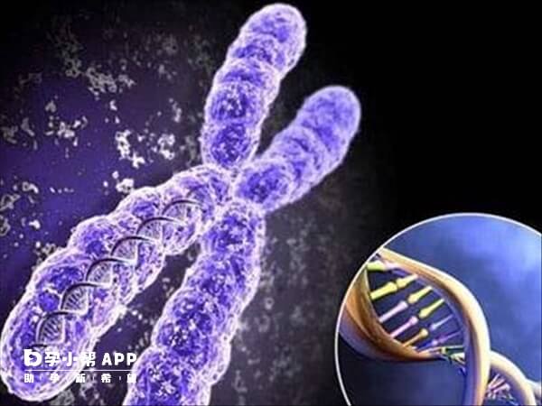 胚胎45x染色体可能是父母染色体异常导致