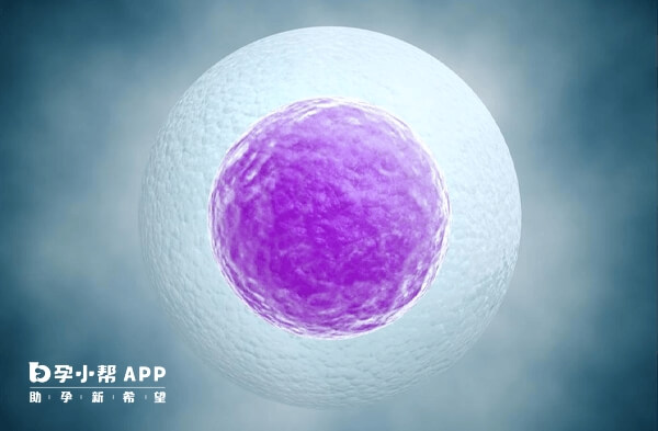 5个卵子一般能成功配出2个胚胎