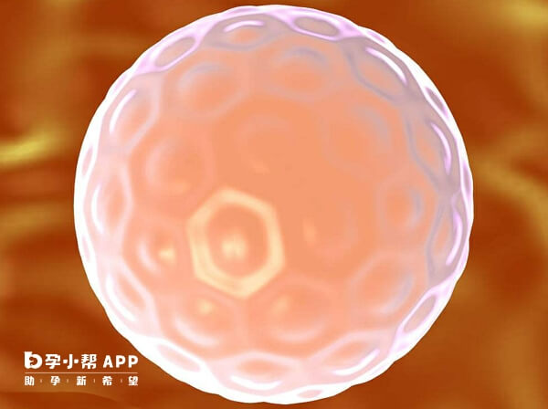 微刺激促排方案对卵巢伤害小