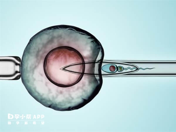 胚胎的培养受医生技术水平影响
