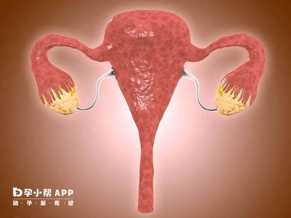 拮抗剂方案促排能保护卵巢