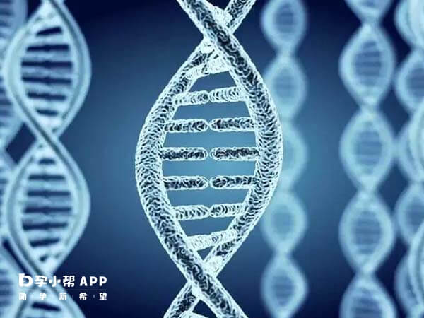 基因变异可做三代试管婴儿