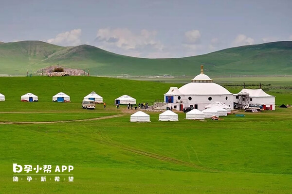 内蒙古有8家供卵机构