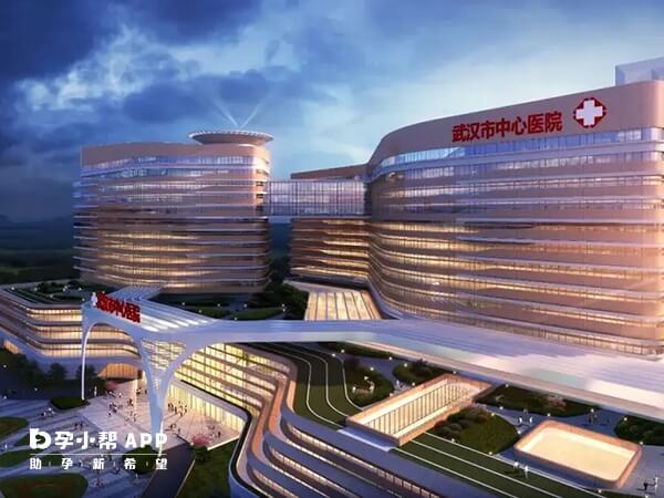 武汉市中心医院是公立医院