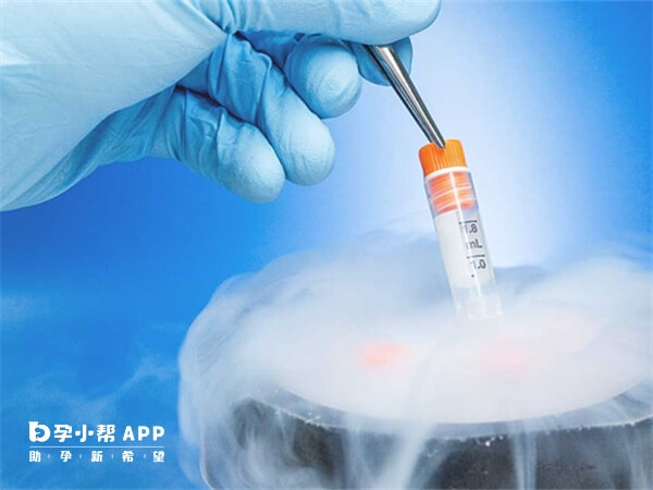 只有质量好的胚胎才能冷冻保存