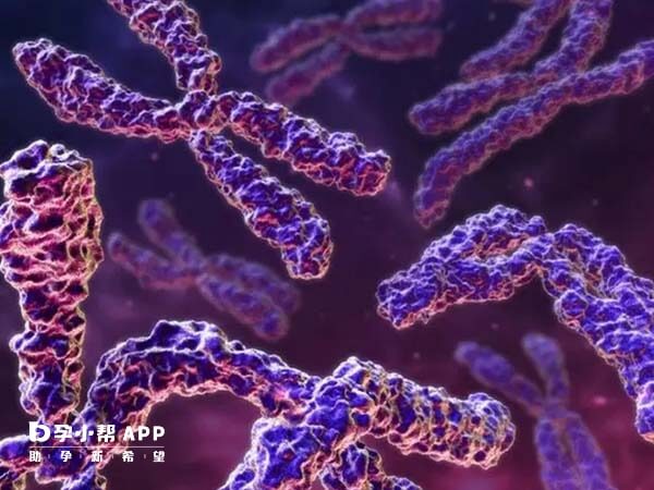 15号染色体缺失可能遗传自父亲