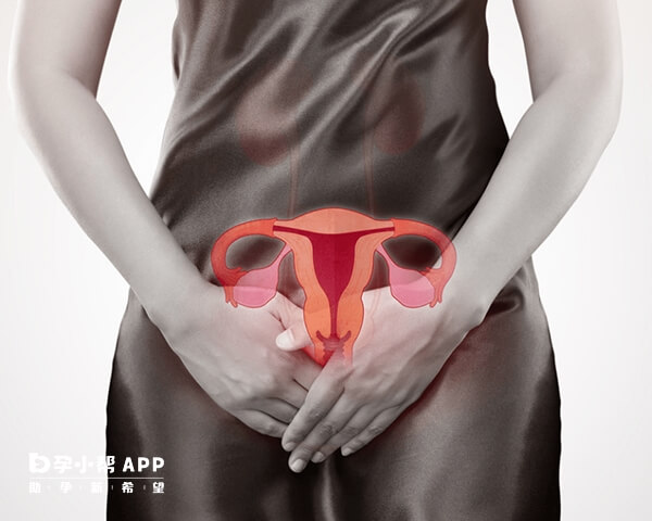 女性只切除一侧输卵管还可以怀孕