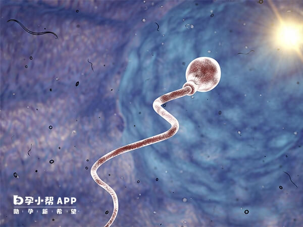 河北燕达医院可做精子染色体异常筛查