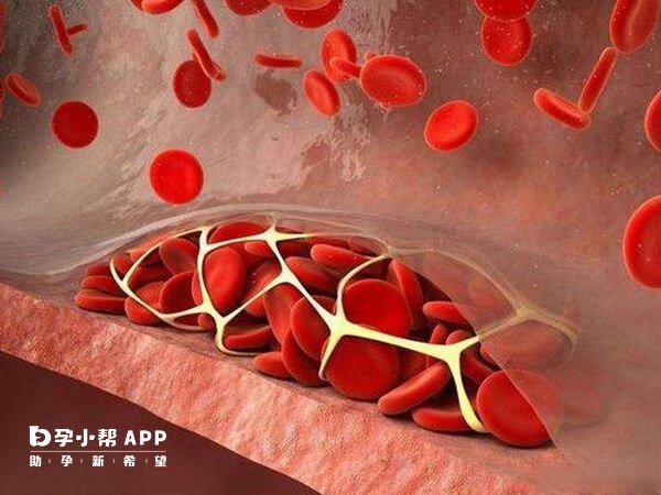 贫血会影响试管胚胎着床