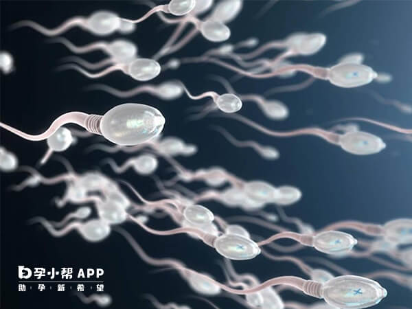 赤峰学院附属医院可筛查精子染色体异常