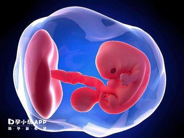 胚胎在发育过程中可能会存在缺陷