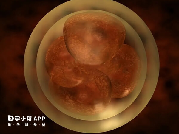 囊胚移植当天孕酮值应为10ng/mL