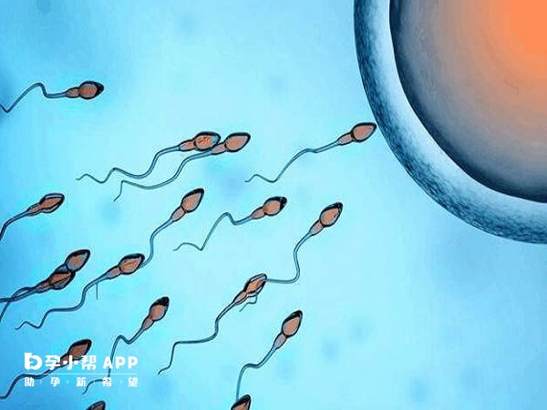 只有d级和c级精子也可以做二代试管助孕