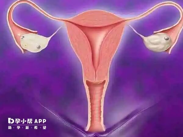 32岁卵巢早衰可以做三代试管