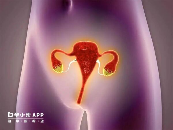 宫腔分离对试管移植的影响不小