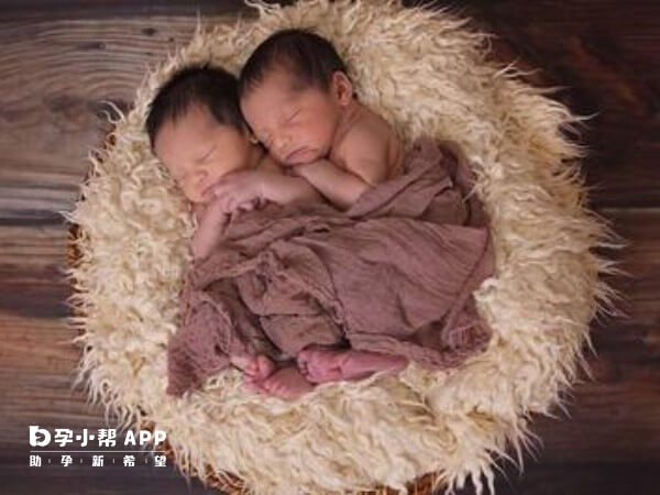 促排怀双胞胎的成功率高