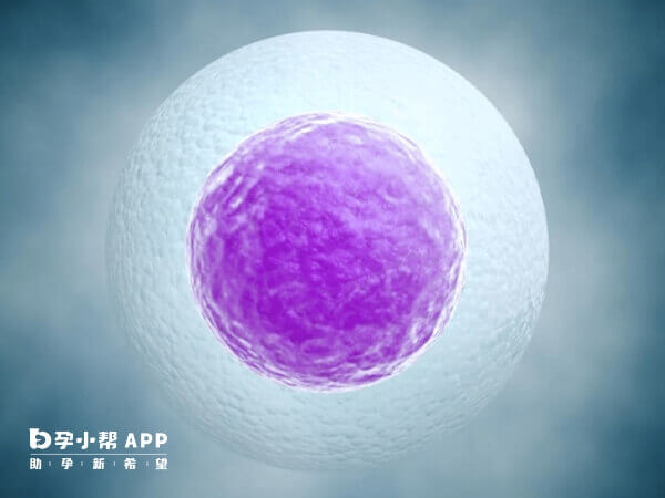 取卵当天雌二醇降低属于正常现象