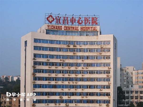 宜昌市中心人民医院不能做单身试管