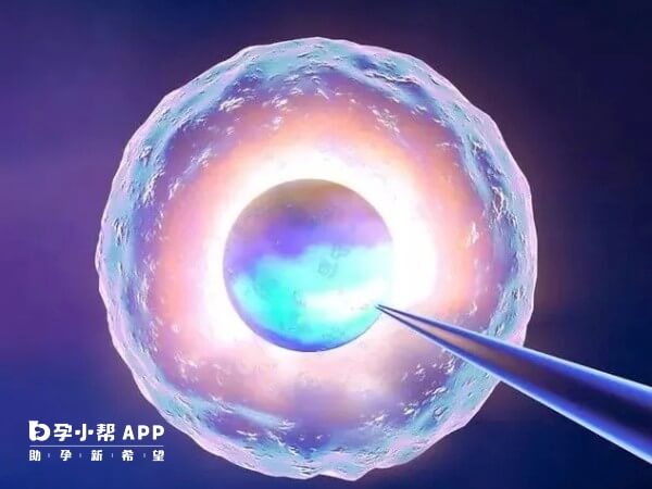 子宫内膜厚8-12mm移植冻胚的成功率高