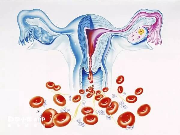 卵巢早衰可通过饮食调理