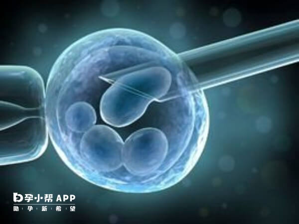 移植前艾泽灌注能增加胚胎着床率