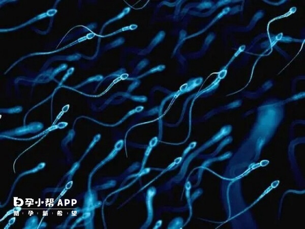 男性精子有问题可以做二代试管婴儿