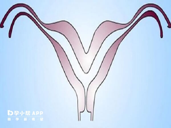 子宫内膜增生吃地屈孕酮片可能管用