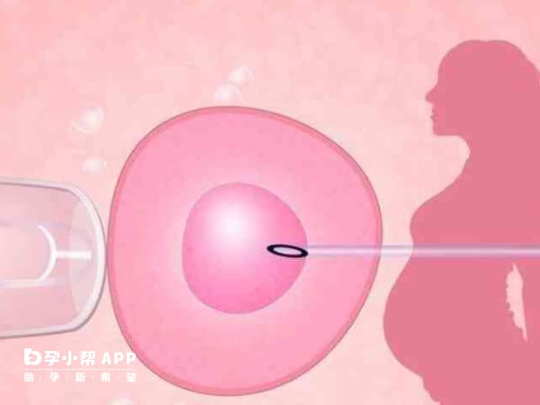 微刺激方案不能移植鲜胚是胚胎数量少