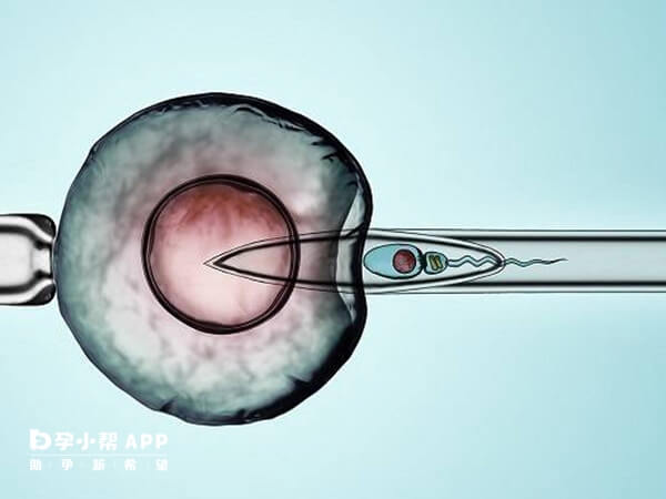 胚胎质量差易致鲜胚移植失败