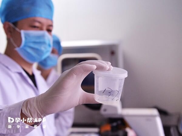 北京申请精子库的条件