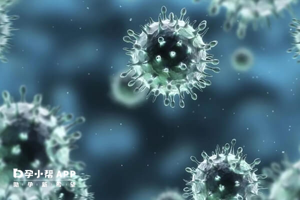 甲型H1N1病毒传播速度快