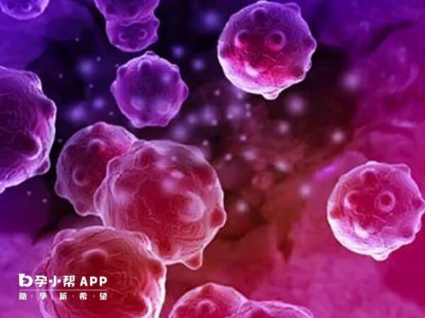 HPV阳性不能进行试管移植