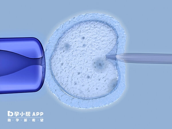 冻囊胚在月经第14天移植