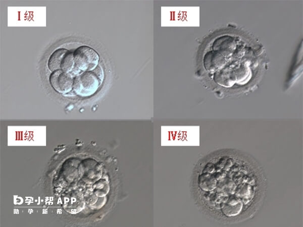 四级胚胎不能移植