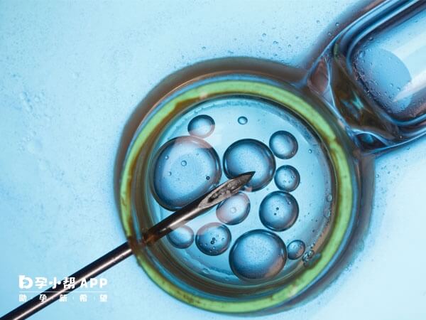 胚胎质量取决于精卵质量