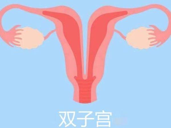 细说引起双子宫的五大原因，对女性的危害主要就有...