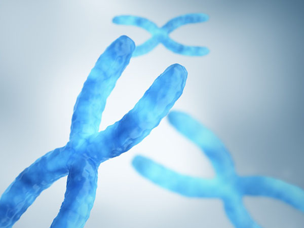 想知道11号染色体缺失重复的后果吗？揭示基因异常对健康的影响