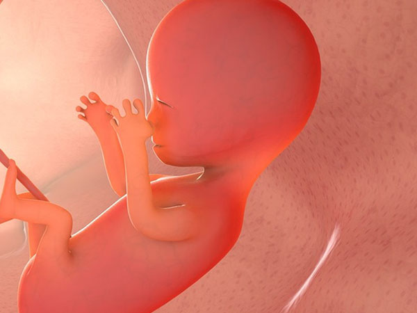 助孕选人工授精or试管婴儿，看输卵管情况！