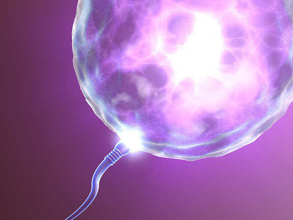 移植后胚胎为什么会停止发育？环境是影响因素之一