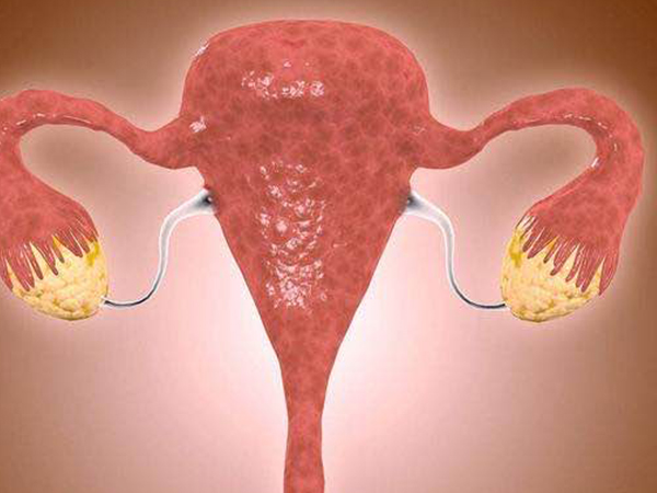 AMH和FSH都很重要，想卵巢功能正常一个也不能出错