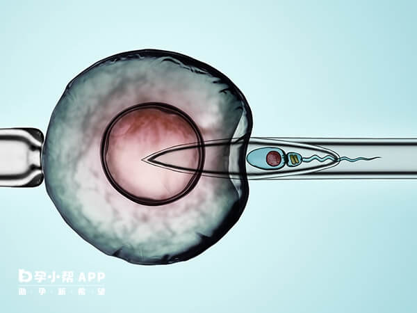 北京妇产医院供卵做试管婴儿费用分享，一个周期3万起