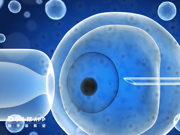 北京协和医学院供卵试管婴儿过程分析，促排是重要步骤