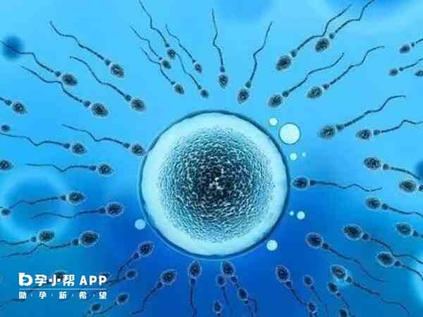 上海仁济医院做供卵试管婴儿有条件，证明材料为首要