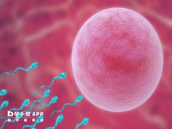 上海做试管婴儿九院还是集爱好？附两家医院助孕优势